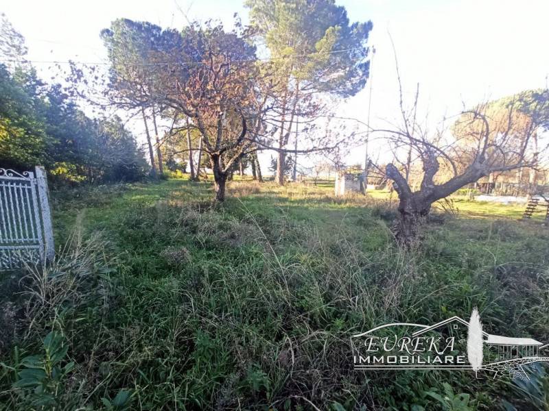  - foto 5
