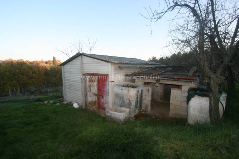  - foto 2