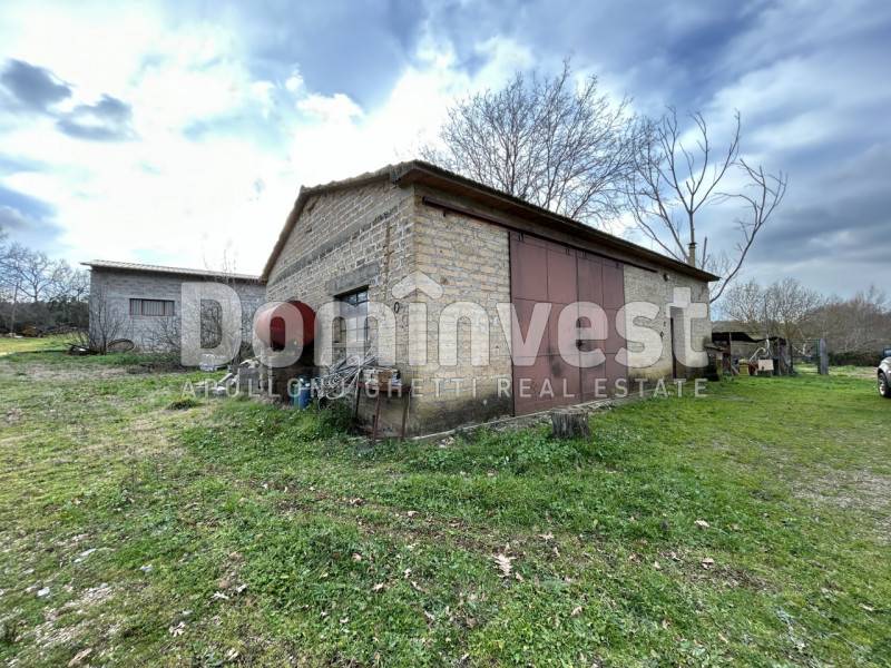  - foto 4