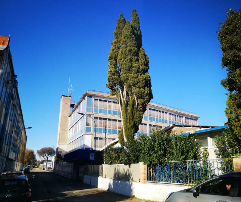 Negozio Salario, Roma