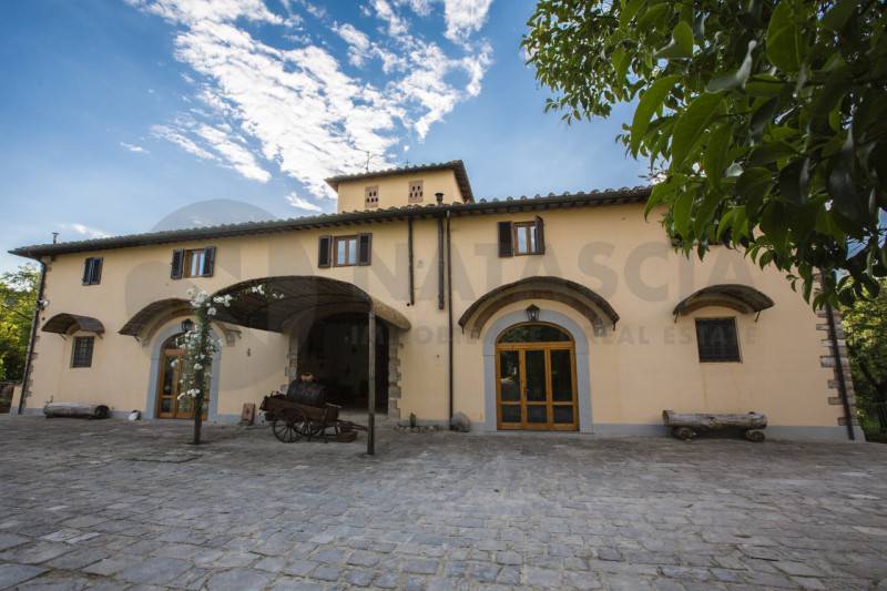 Rustico, Pelago