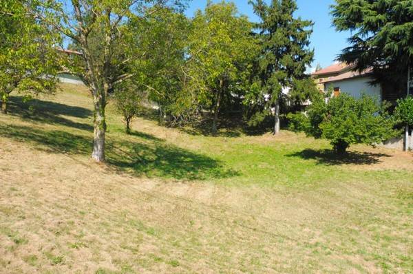 Altro, Cerro Veronese