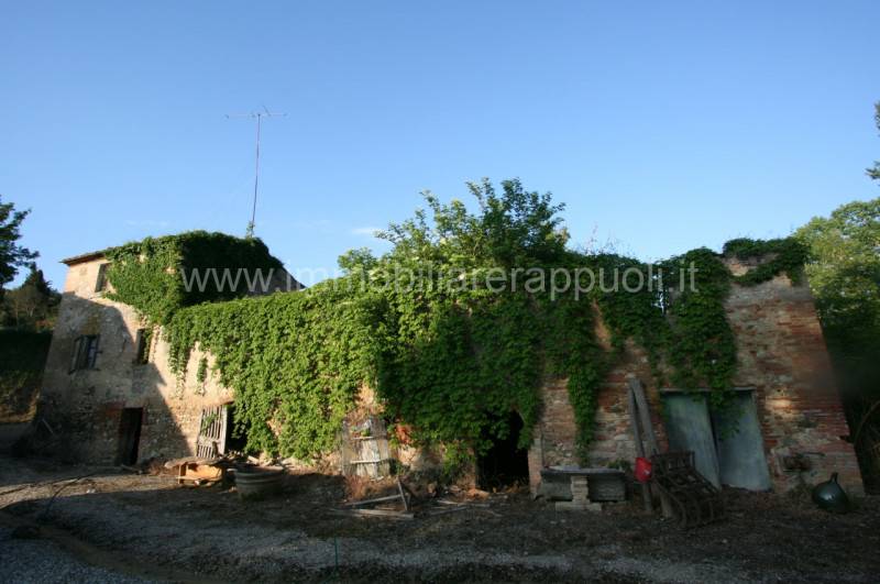  - foto 2