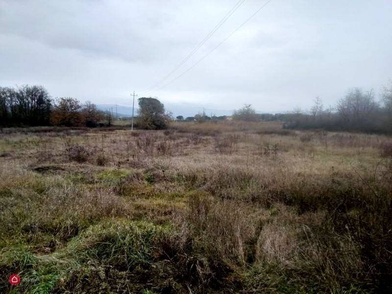 Altro Castiglione del Lago, Castiglione del Lago