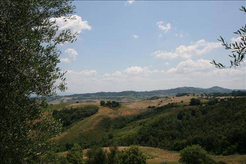 Rustico Montefollonico, Torrita di Siena