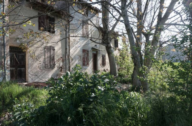 Rustico Mezzano Superiore, Sorbolo Mezzani