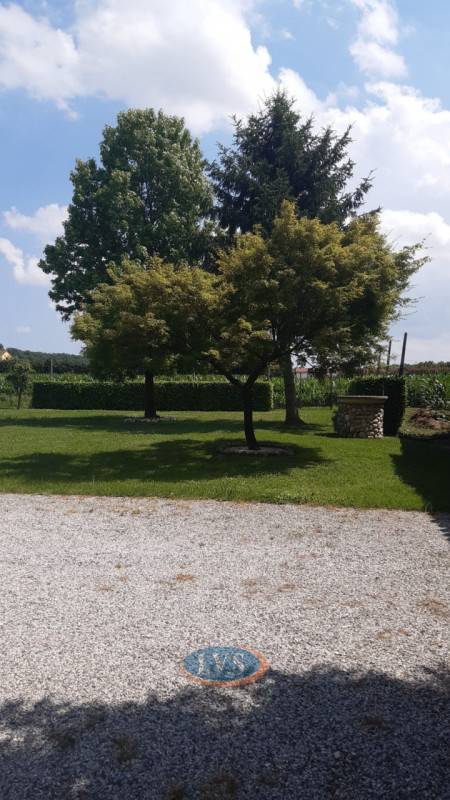  - foto 10