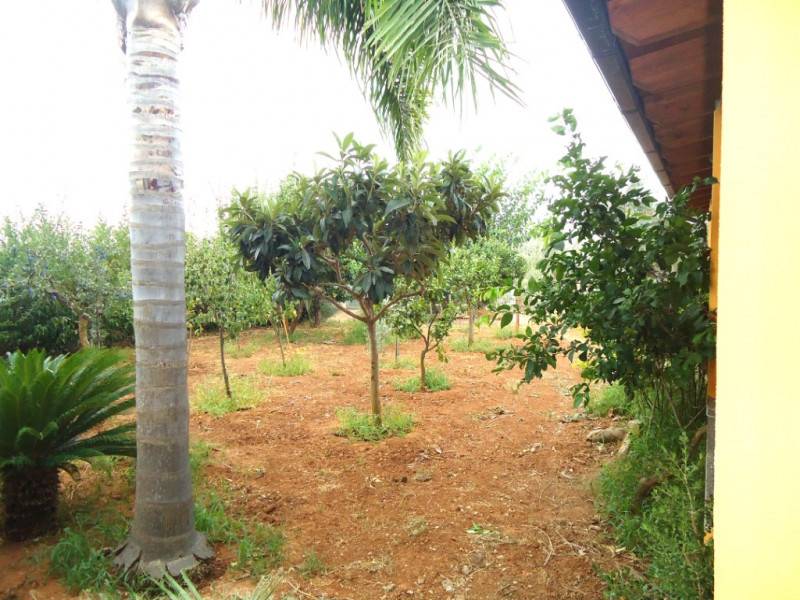  - foto 8