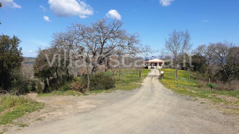 Casa indipendente Grilli, Gavorrano