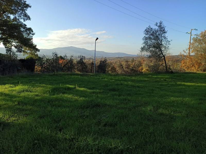  - foto 10