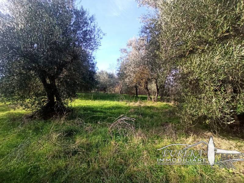 Altro Gioiella, Castiglione del Lago