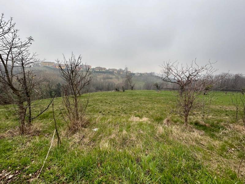 Terreno edificabile San Mauro di Saline - Centro, San Mauro di Saline