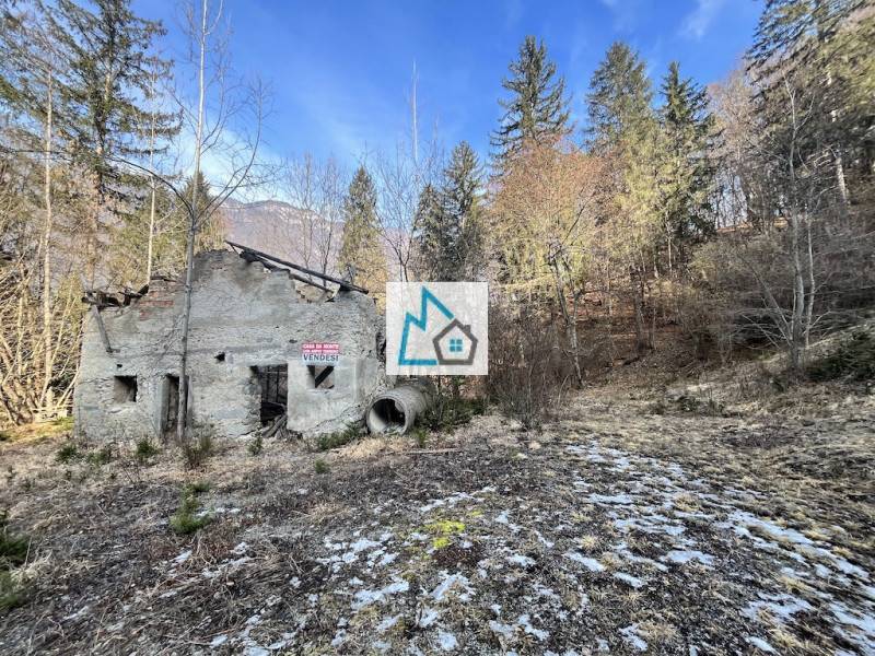 Rustico Saone, Tione di Trento