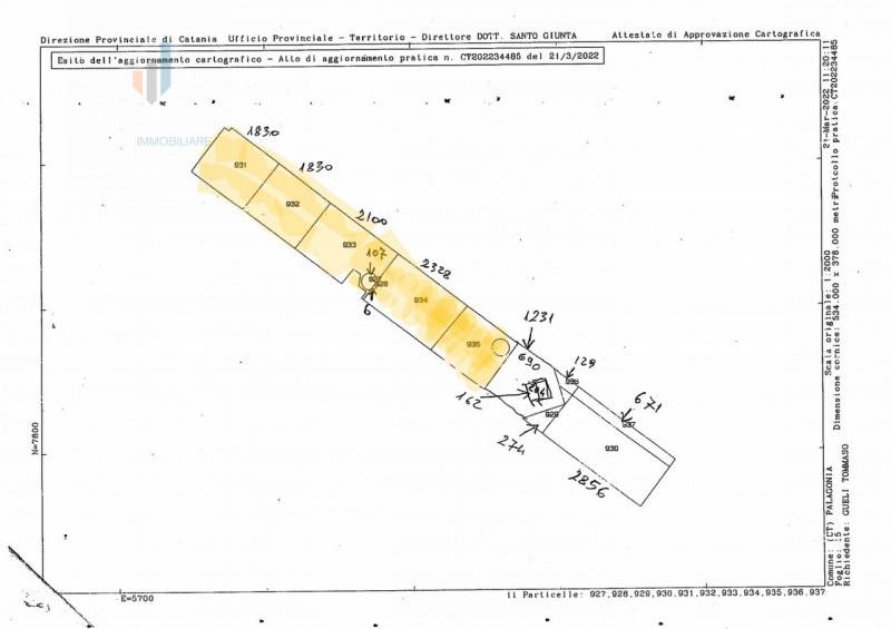  - foto 9