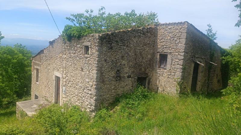 Rustico Civitavecchia, Arpino