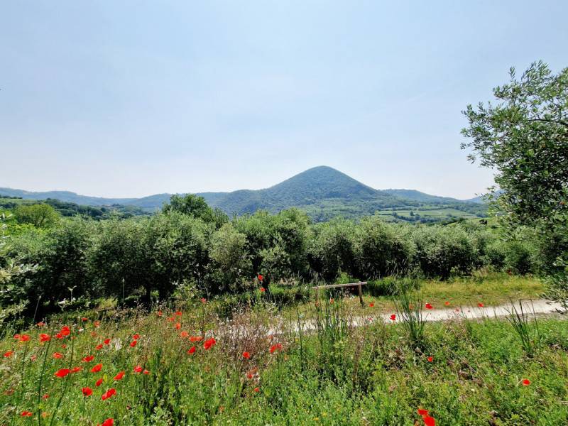  - foto 2