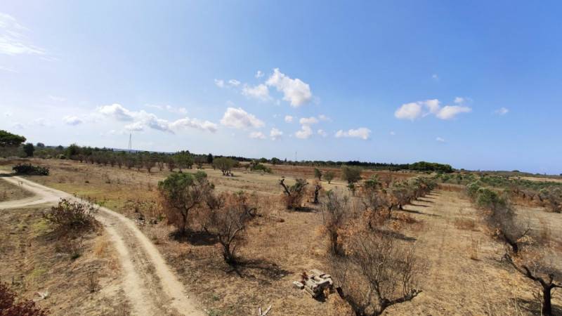  - foto 2