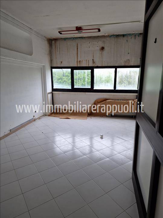  - foto 2
