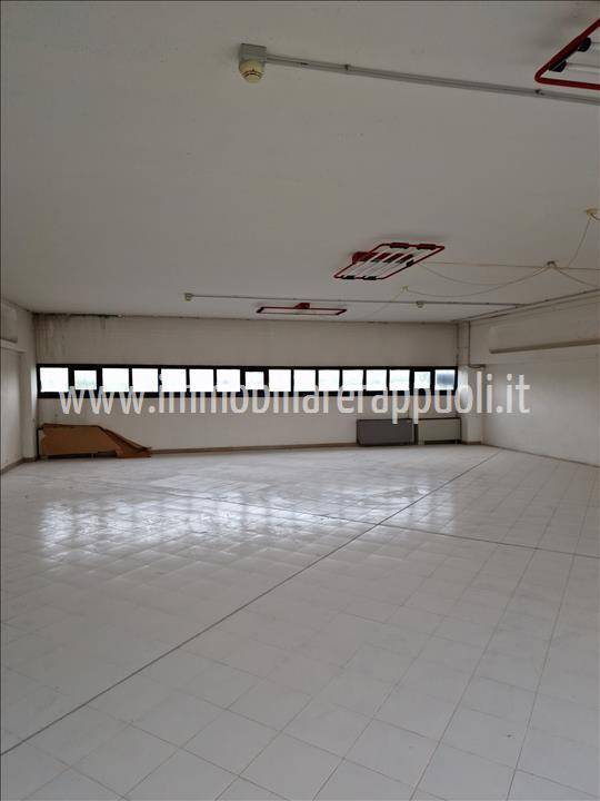  - foto 5