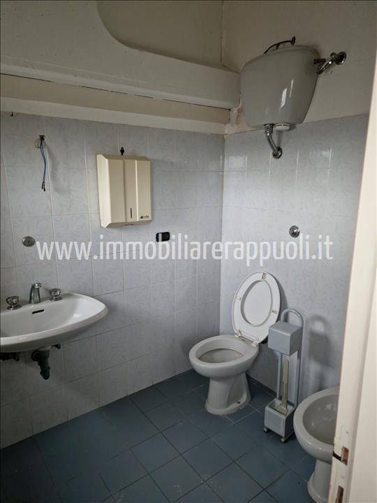  - foto 7