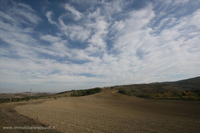 Attività  commerciale Montalcino, Montalcino
