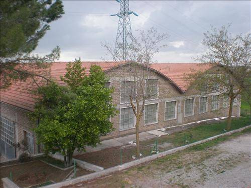  - foto 7