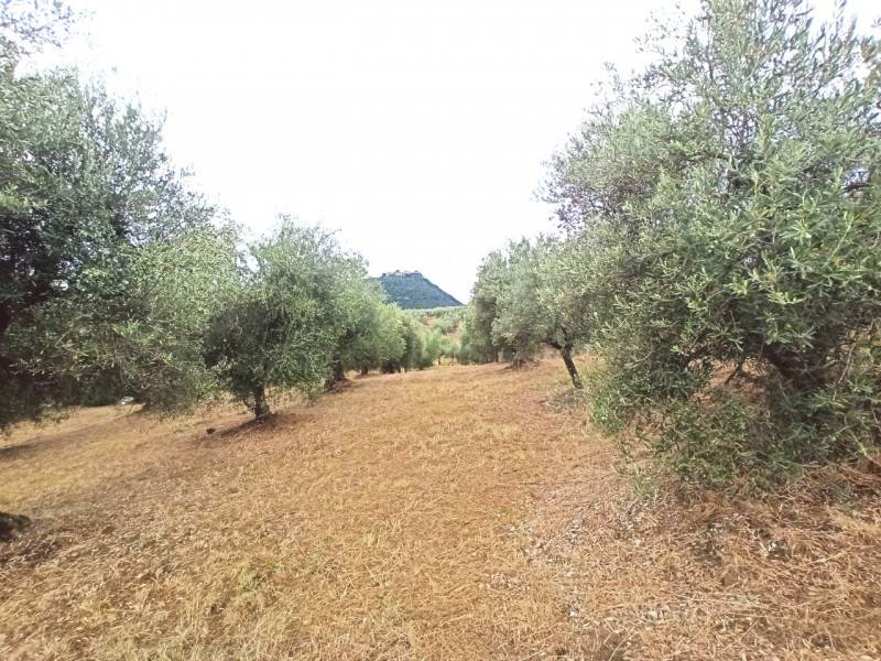  - foto 2