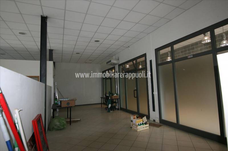  - foto 3