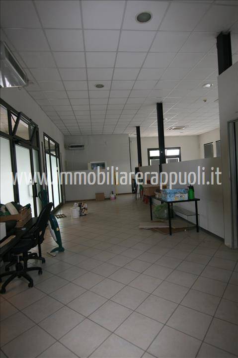  - foto 5