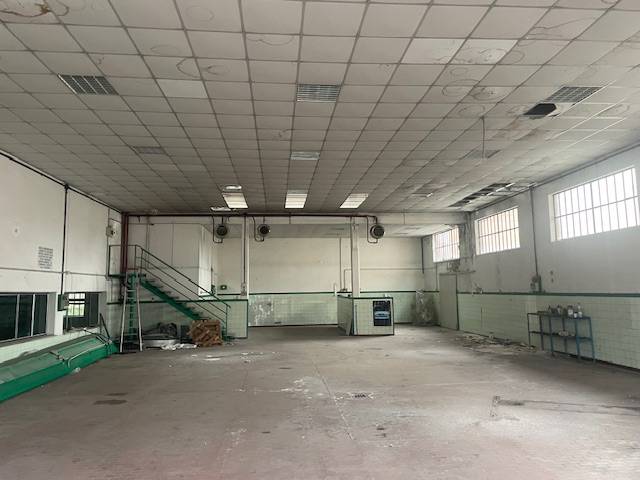  - foto 5