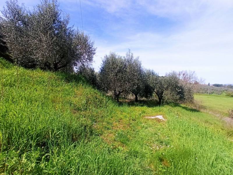Altro Sanfatucchio, Castiglione del Lago