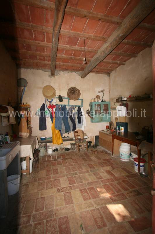  - foto 5