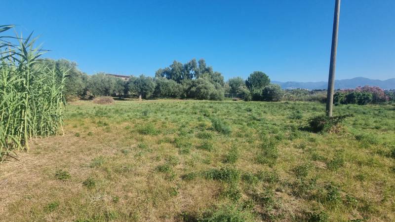 Terreno agricolo, Milazzo