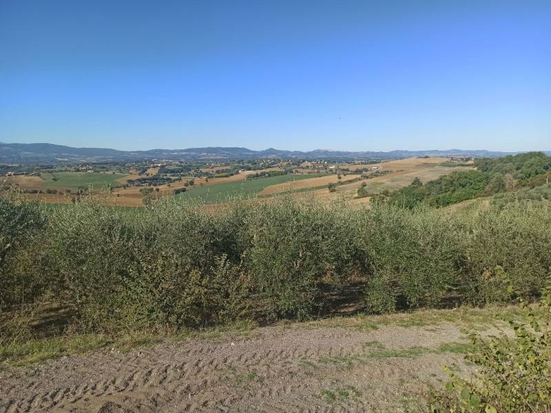 Altro Gioiella, Castiglione del Lago