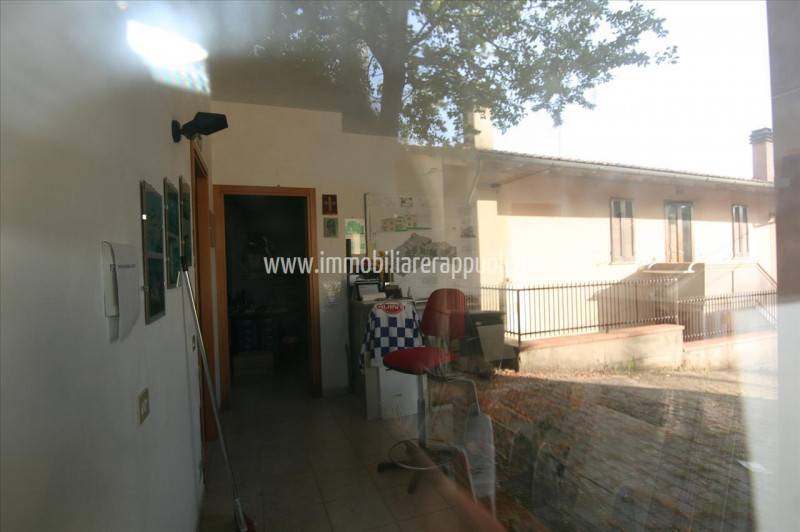  - foto 5