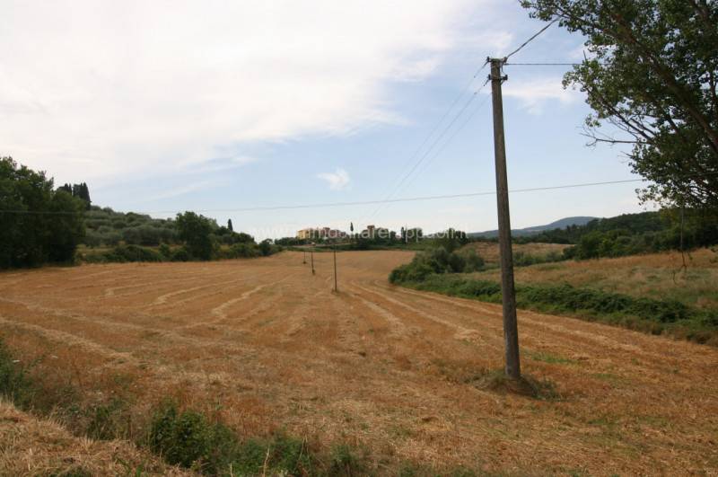  - foto 3