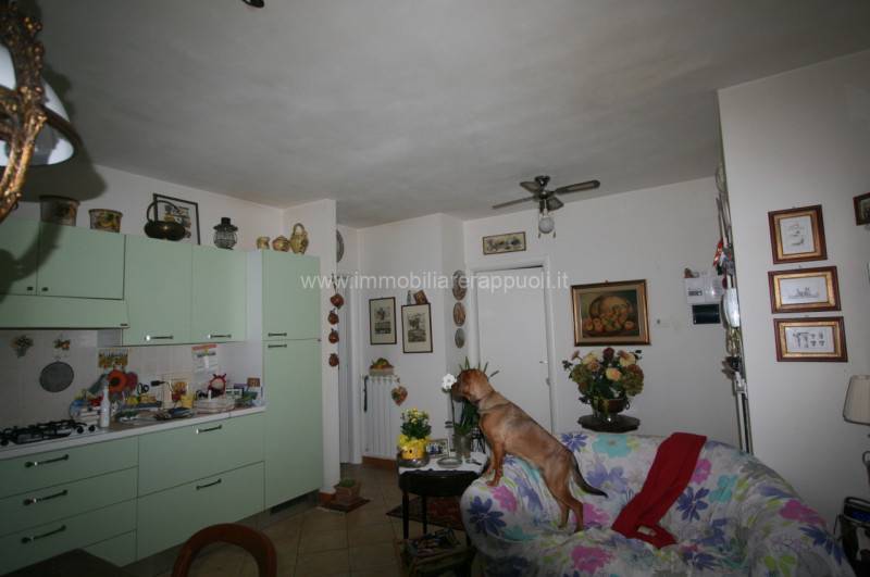  - foto 6