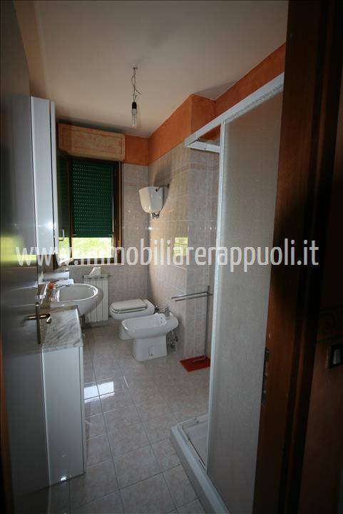  - foto 5