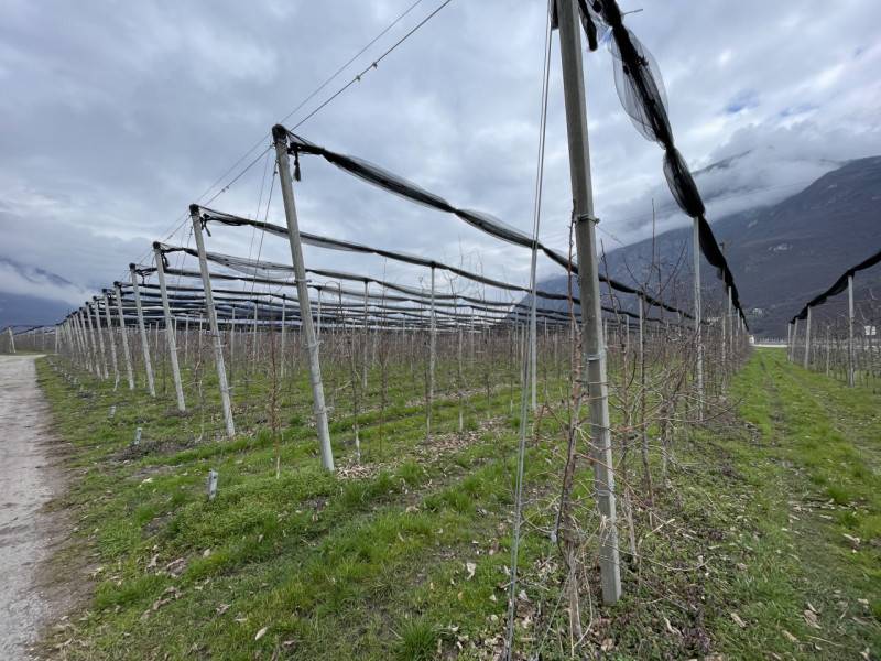 Altro Salorno, Salorno sulla strada del vino