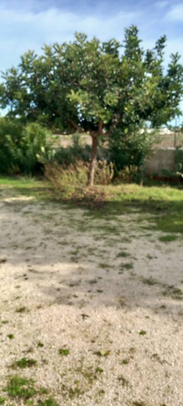  - foto 3