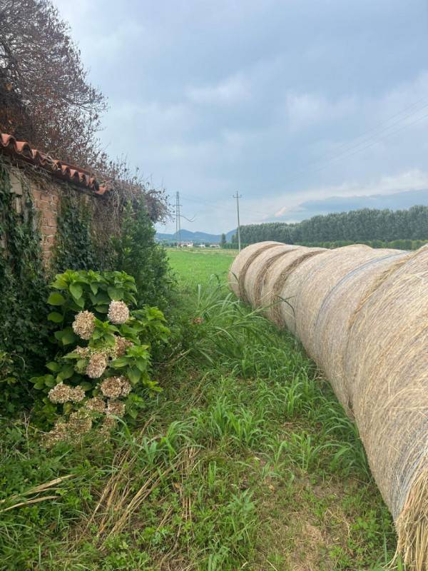  - foto 4