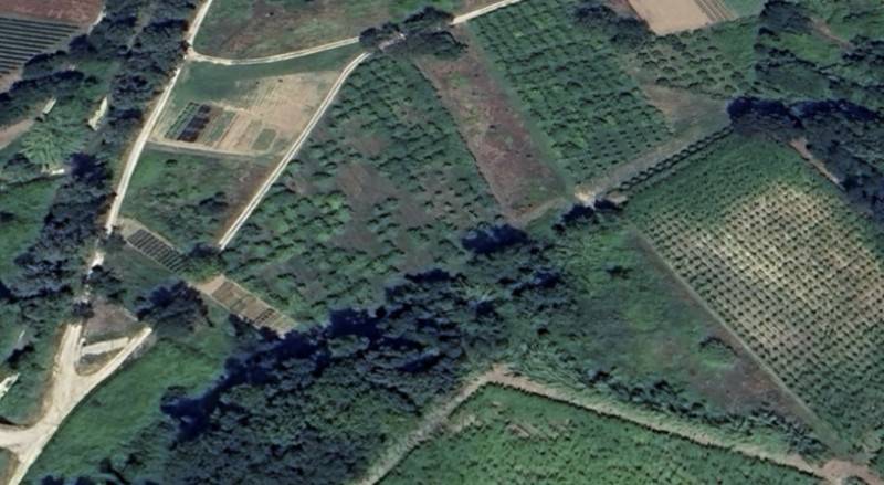 Terreno agricolo Montupoli, Miglianico