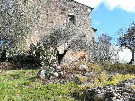 Rustico Cisterna, Fontechiari