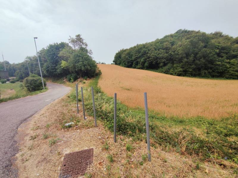 Altro, Soiano del Lago