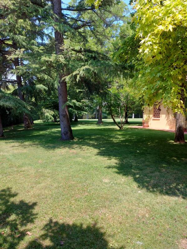  - foto 3