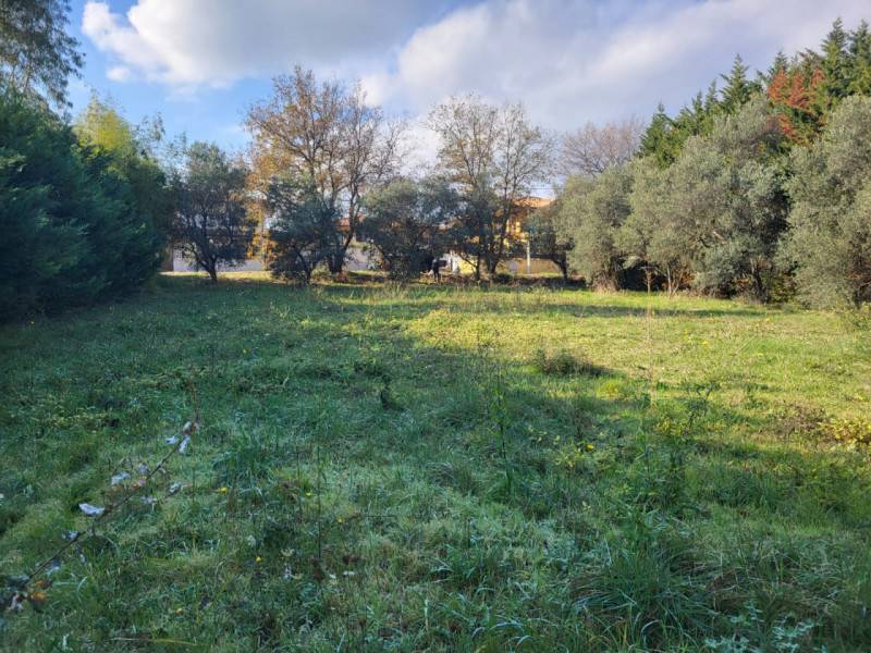 Terreno edificabile Villa Oliveti, Rosciano