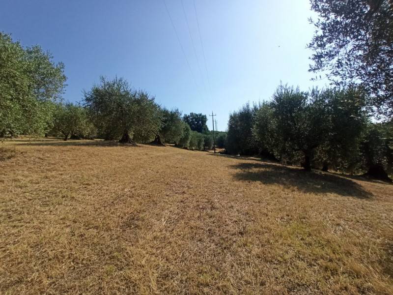  - foto 8