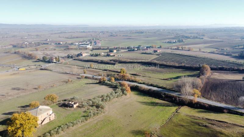 Rustico Torrita di Siena, Torrita di Siena