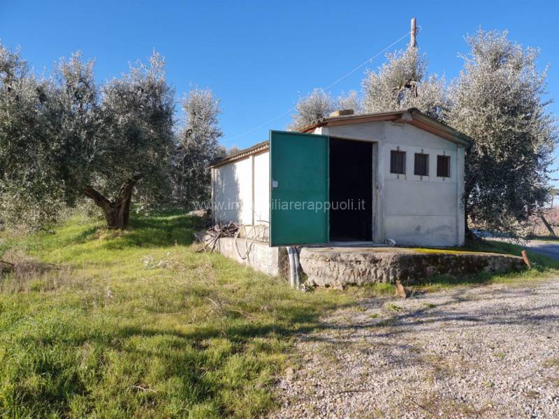 Altro Acquaviva, Montepulciano