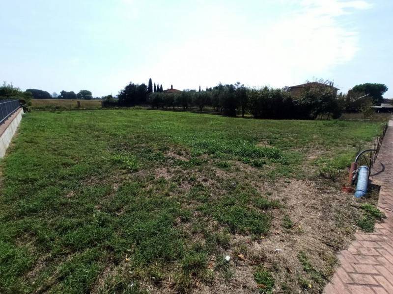 Terreno edificabile Castiglione del Lago, Castiglione del Lago